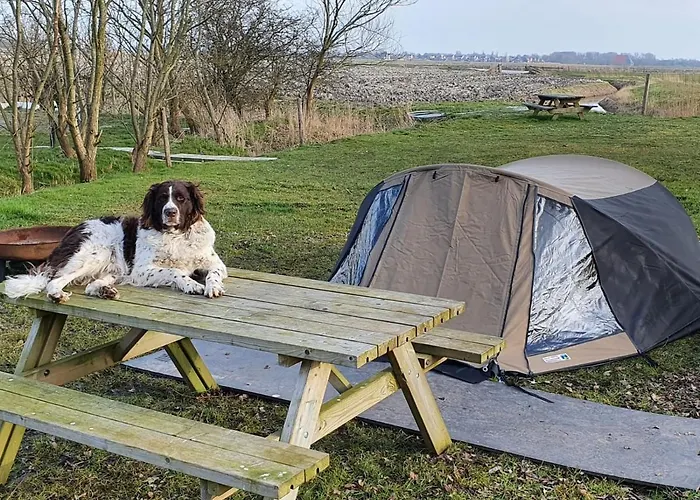 Basic 2P Tent Sotterum