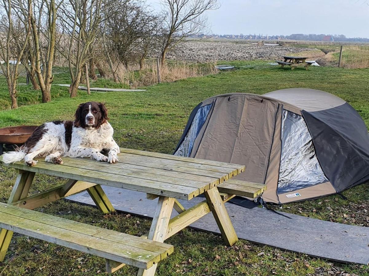 Basic 2p Tent Sotterum