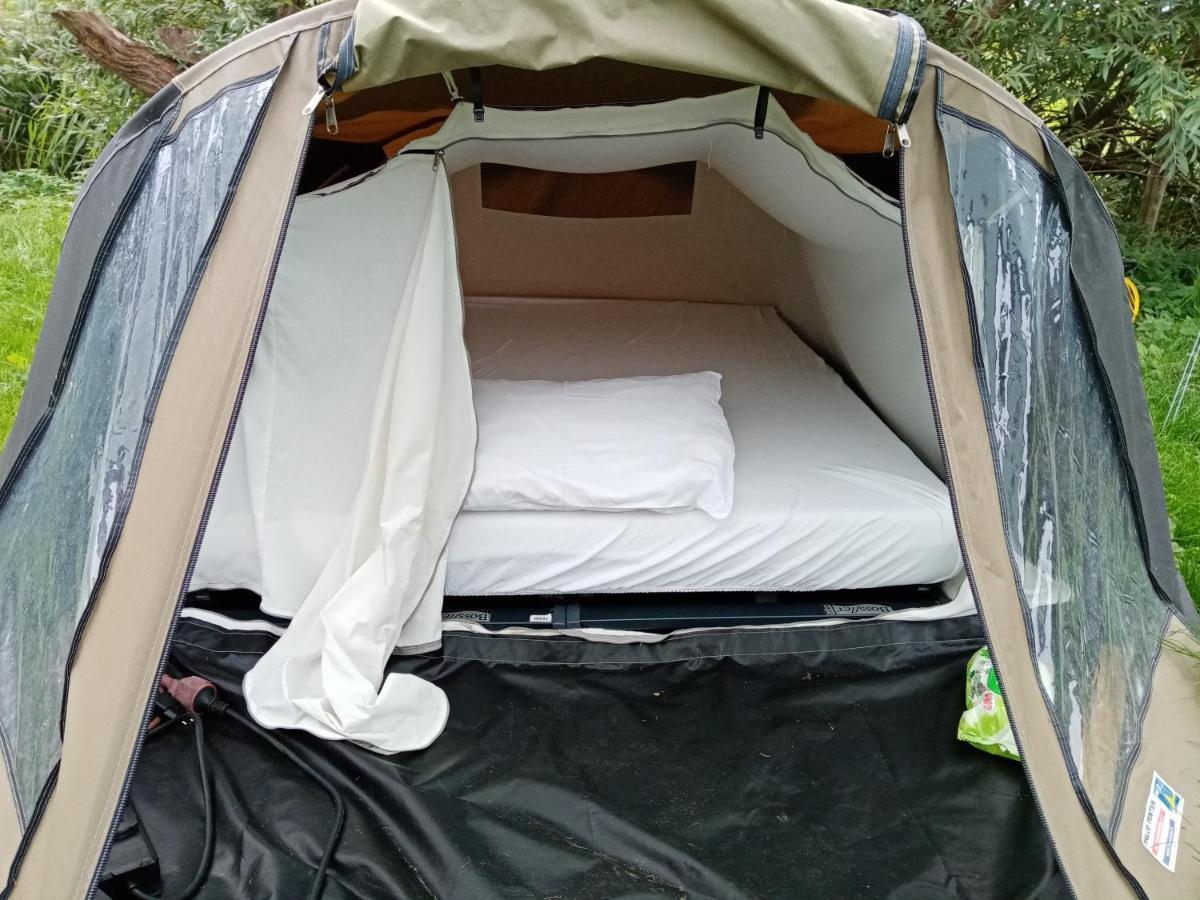 Basic 2p Tent Sotterum *