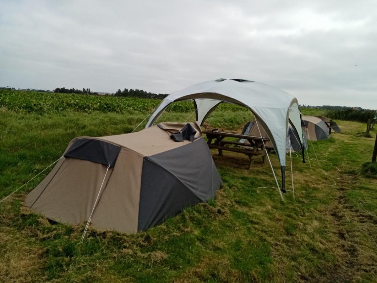 Basic 2p Tent Sotterum *