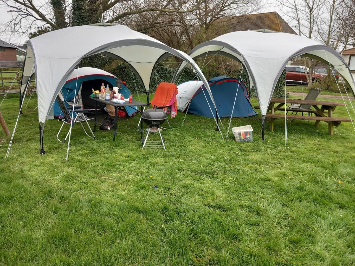 Basic 2p Tent Sotterum *